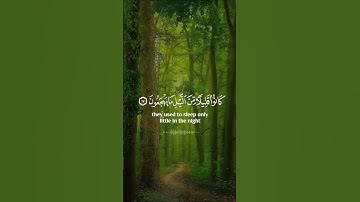 سورة الذاريات _ أنس شهاب