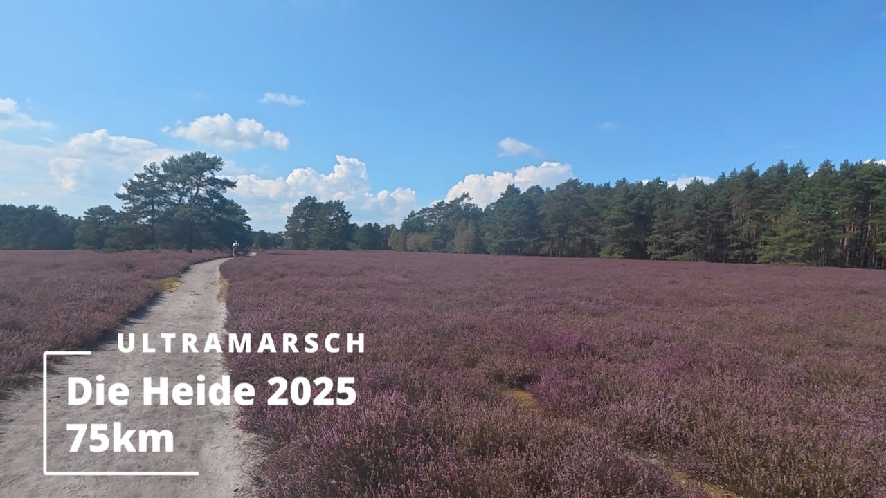 Ultramarsch - Die Heide - 2025 - in 13:12h | Mein Review-Video