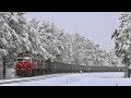 Beautiful winter scene with freight train / Красивый зимний вид с грузовым поездом