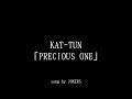 【オフライン】KAT-TUN PRECIOUS ONE 歌ってみた