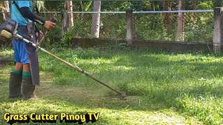 NORMAL SPEED GRASS CUTTING /  I AM CUTTING THE BUFFALO GRASS