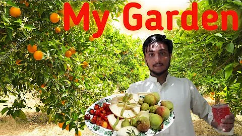 fruits of the motherland #garden #gardening #areuhungry #foodie #foodvlogs#fruits - DayDayNews