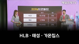 [포트폴리오 점검] HLB · 태성 · 가온칩스