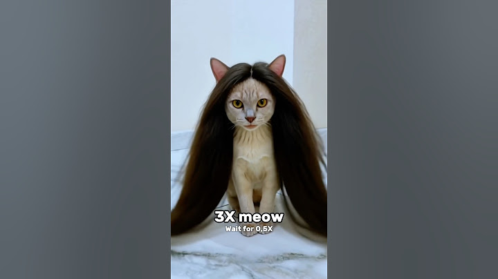 Wait For The Last One Meow #brushvlog #shorts #viral