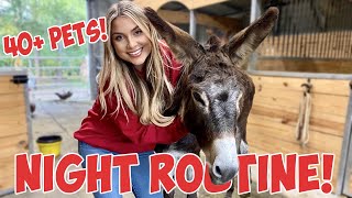 RAINY NIGHT ROUTINE VLOG WITH 40+ ANIMALS! *CUTE ANIMALS*