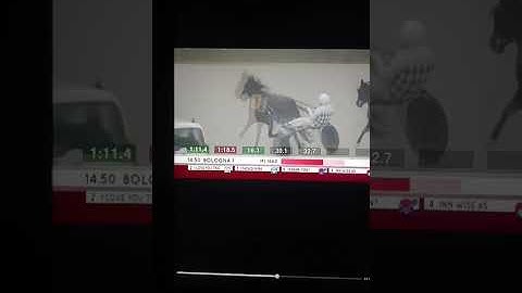 First position,,, I LOVE YOU TRIO RACE. 1660MT