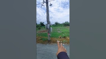 BÁN 6 THỬA ĐẤT DT 5X30 100TC ĐƯỜNG NHỰA. GIÁ 380 #datgiare #muabandatgiare