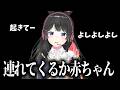 【ポケモンZA】配信中に赤ちゃんを連れてきてしまう委員長【月ノ美兎切り抜き】