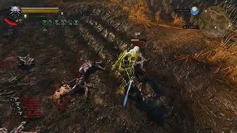 Witcher 3 - Ghost Mode - Euphoria Cat Crit build