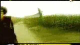 Ajs Nigrutin - Indo Grasa