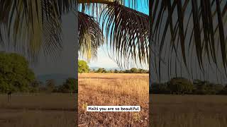 Beautiful Haïti