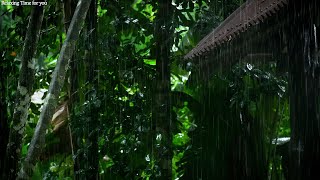 Calm and soft sound of rain falling in the forest / Rain sound ASMR for insomnia, sleep, relaxation