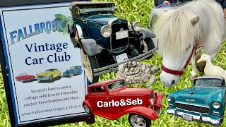 Vintage Car Show and Petting Show at Work | Carlo&Seb Vlog