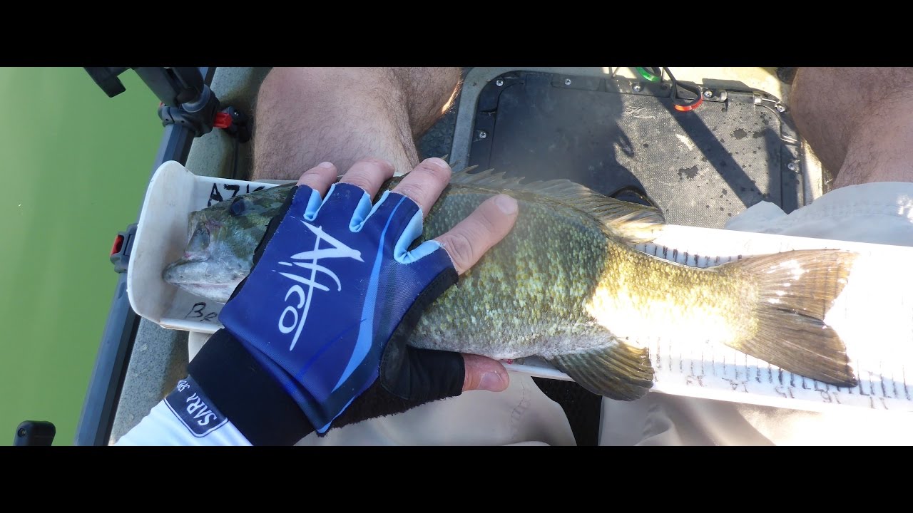 Kayak Fishing Lake Havasu Castle Rock YouTube