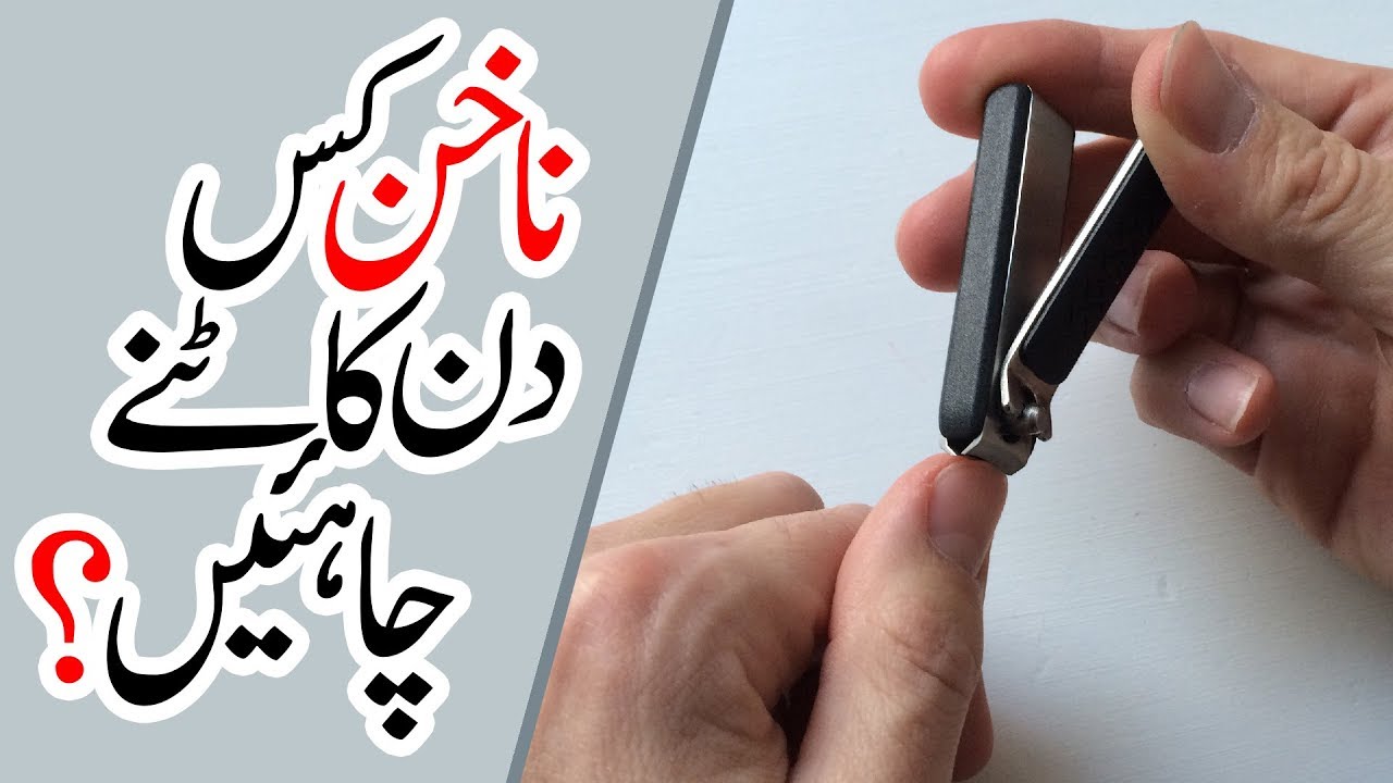 Sunnah Of Cutting Nails In Urdu - Nail Ftempo