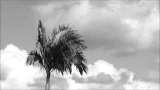 morphing clouds 01