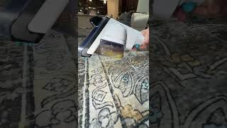 Carpet cleaning made easy #carpetcleaning #carpetcleaner #stainremoval #cleaning #pets