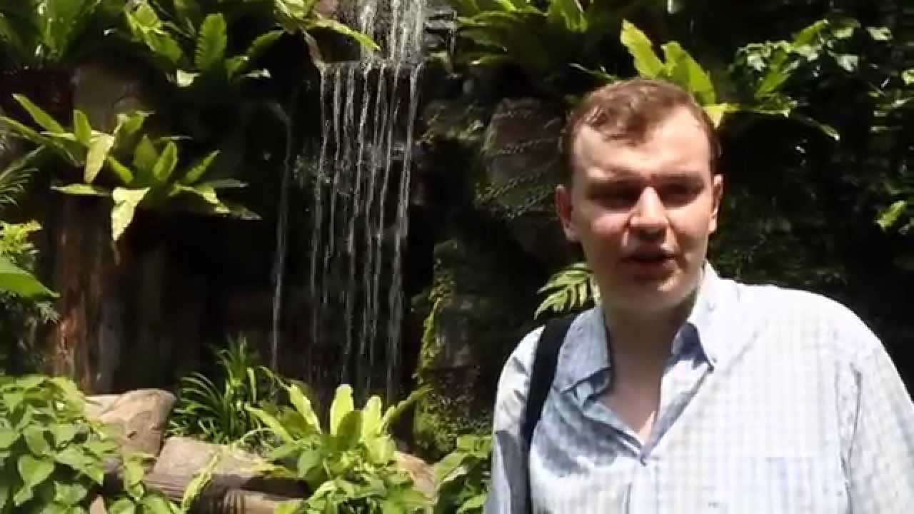 Butterfly Park & Insect Kingdom, Sentosa / Парк Бабочек и Королевство