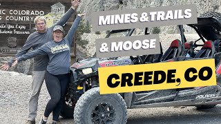 Mines, Trails, and Moose in Creede, CO