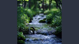 Dynamic Echo River