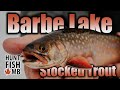 Manitoba Stock Trout Fishing