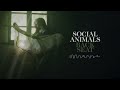 Social Animals - Back Seat (Visualizer)