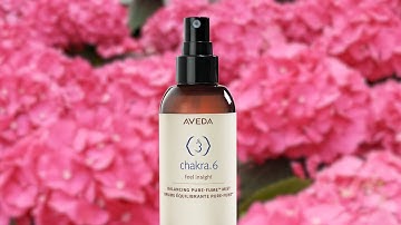 Feel Insight Meditation | Chakra 6 | Aveda