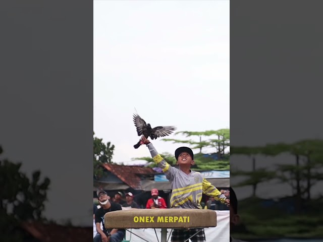 JOKI CILIK PALING DI TAKUTI DILOMBA NASIONAL #onexmerpati class=