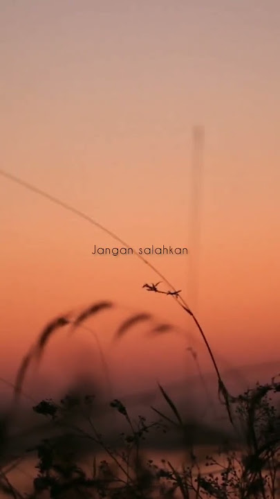 Ziva Magnolya ( pilihan yang terbaik ) Lyric... Story WA #Short#youtube short