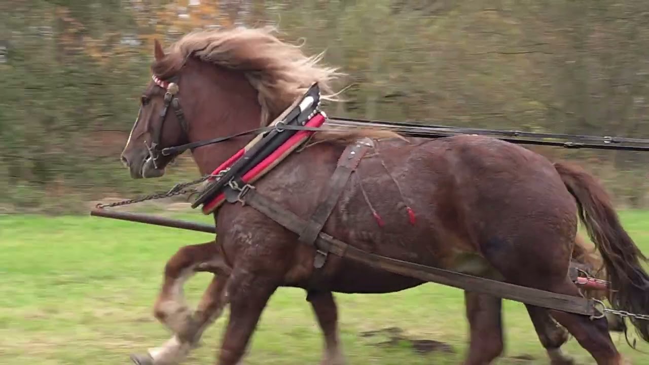 Hubertova jízda 2025