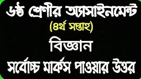 Science 4th Week Assignment For Class 6