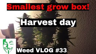 Hi Everyone, I'm finally back here with my new micro grow autoflowe...