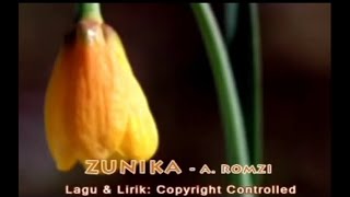 ZUNIKA - A.Romzi & The Hooks (Karaoke|Minus One)