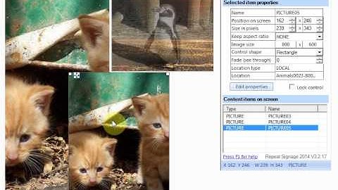 Repeat Signage controls - Picture control