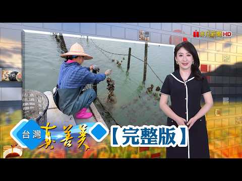 嘉義東石蚵鮮味濃 沒落農村轉型拚觀光/父中風老麵廠陷危機 兄弟接手獨創冷泉麵/麻竹筍加工翻轉社區 遵循古法無添加製作/碩士回鄉養雞 柴燒慢熬雞精出頭天【台灣真善美】2026.06.28✦全集✦