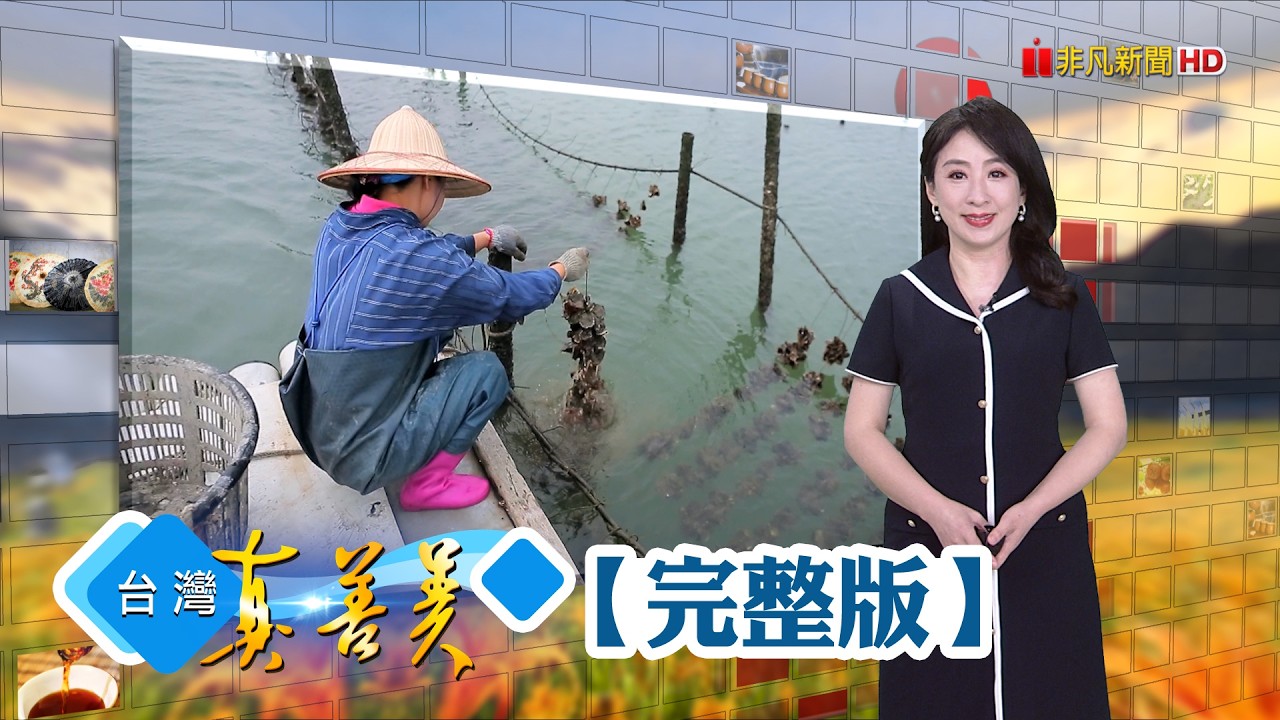 嘉義東石蚵鮮味濃 沒落農村轉型拚觀光/父中風老麵廠陷危機 兄弟接手獨創冷泉麵/麻竹筍加工翻轉社區 遵循古法無添加製作/碩士回鄉養雞 柴燒慢熬雞精出頭天【台灣真善美】2026.06.28✦全集✦