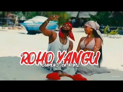 Diamond Platnumz Roho Yangu Inspired Audio Concept 