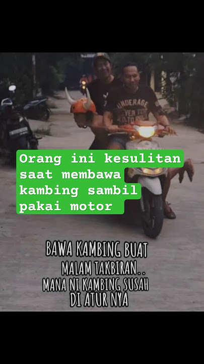cara bawa kambing pakai motor #kocak #foryou #viralvideo #hiburan #shortvideo