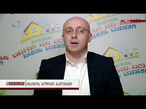 კახა გვანცელაძე: ოთხი უწყება აკონტროლებს რეალურად ჩვენს ბაგა ბაღებში კვებას