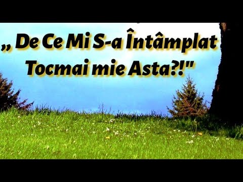 Video: De Ce Mi S-a întâmplat Asta?