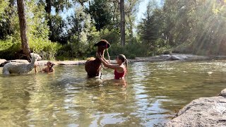 Swimming With Our Alpacas by Big Horn Mountain Alpacas 2,664 views 1 year ago 6 minutes, 48 seconds