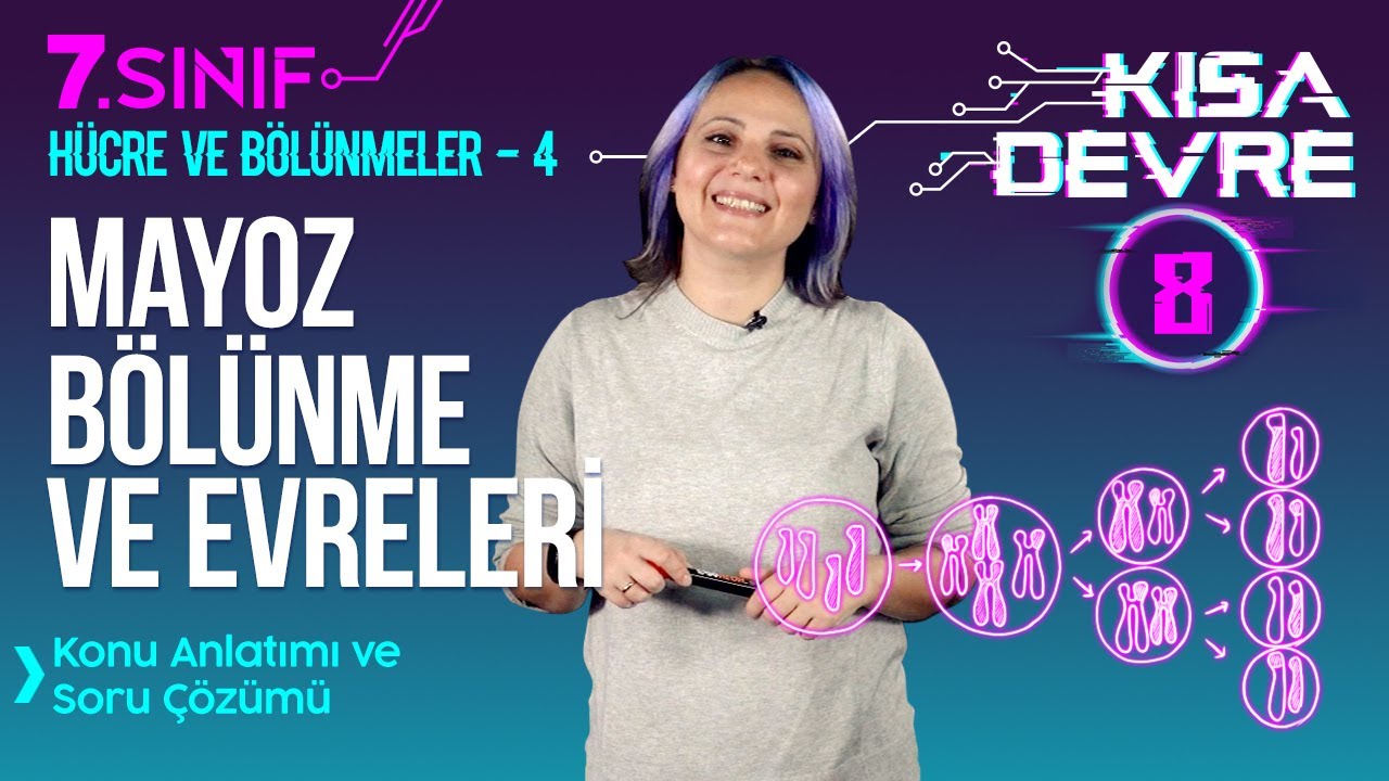Mayoz Bölünme: Evreleri, Özellikleri, Eşeyli Üreme | 7. Sınıf Fen #2022 | Lightboard ile Ders #8