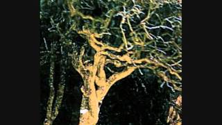 Lothlórien - Schottische Fran Havero chords