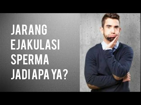 Video: Adakah stree 2 akan dikeluarkan?