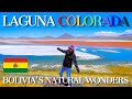 Bolivia | Laguna Colorada Altiplano one of the most beautiful unknown places in the world