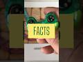 FROG FACTS You Didn't Know 🐸💧 #shorts