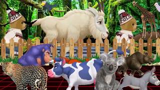 WILD ANIMALS GO CRAZY IN 3D RACING GAMES | Part 6 screenshot 2