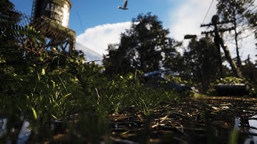 Abandoned Forest Road Enviroment Unreal Engine 5