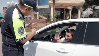видео:  картинка: