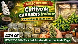 AULA 06: GUIA DO CULTIVO INDOOR DE MACONHA – SEMANA 2 Iniciando estágio  Vegetativo